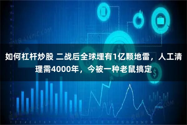 如何杠杆炒股 二战后全球埋有1亿颗地雷，人工清理需4000年，今被一种老鼠搞定